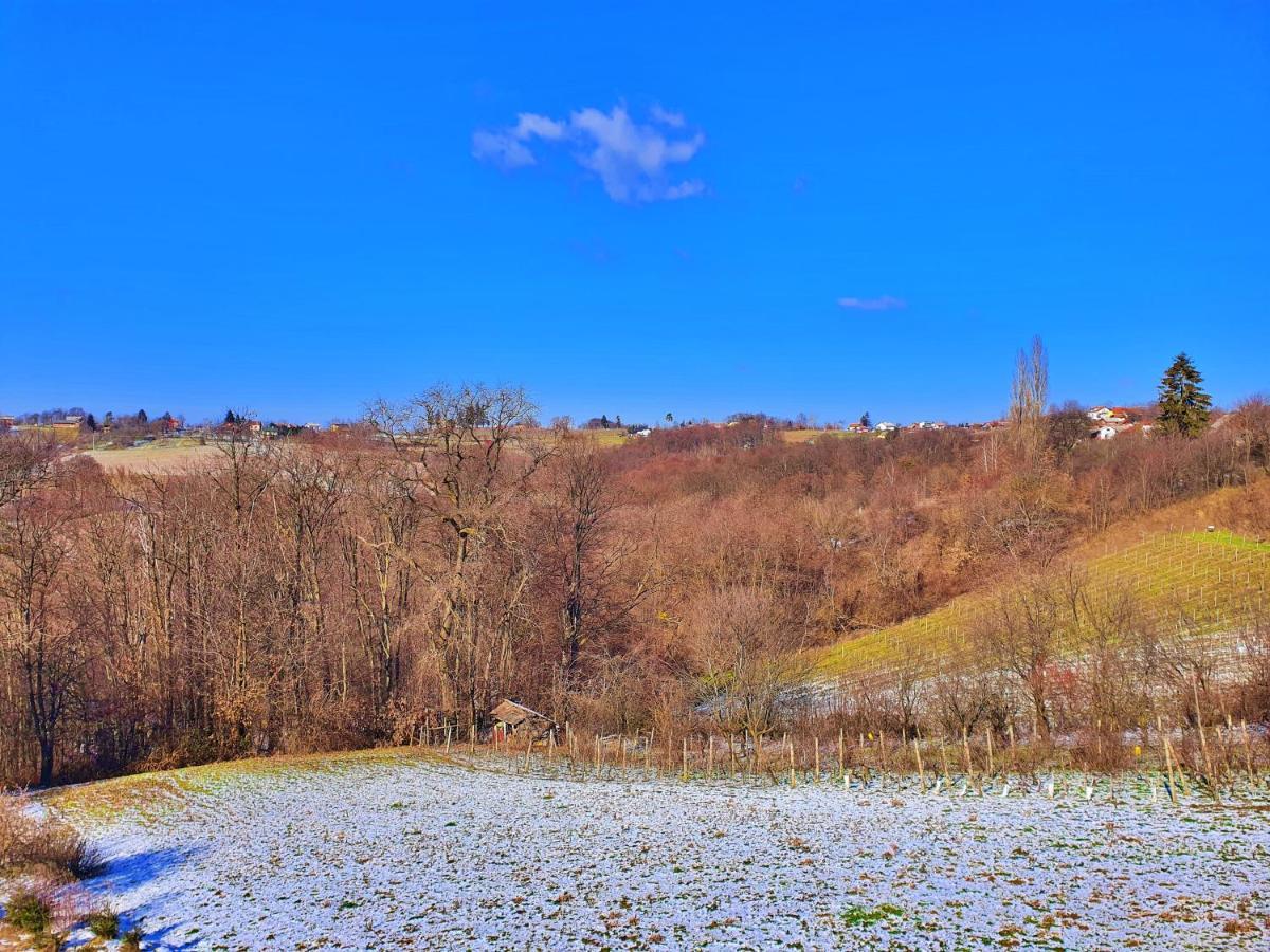 Holiday Home Bella Vita Gornji Mihaljevec المظهر الخارجي الصورة